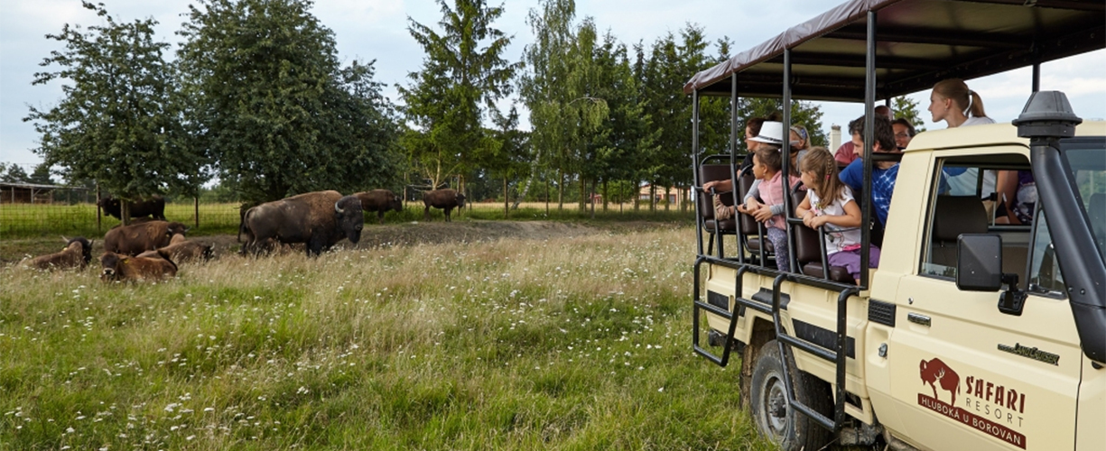 Rezydencja SAFARI RESORT