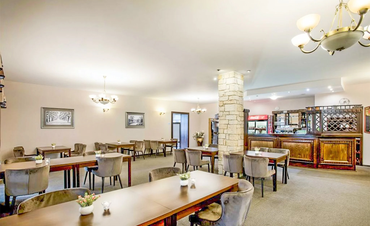 Hotel Lions in Nesuchy