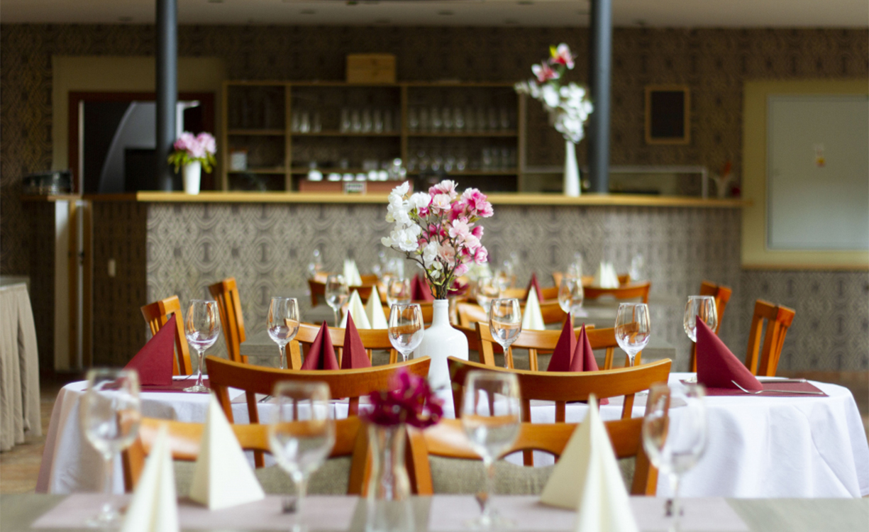 Wellness hotel Rezydencja w Nové Hrady