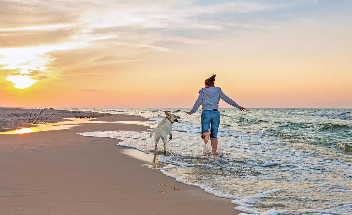 Zwierzęta są mile widziane nad Morzem Bałtyckim!